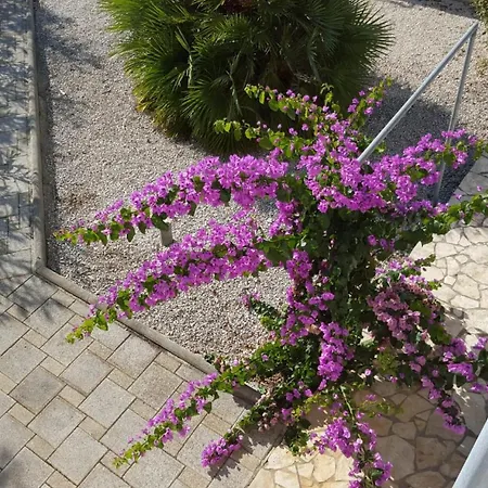 Apartmán Mara *